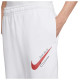 Nike Ανδρικό παντελόνι φόρμας Sportswear